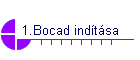 1.Bocad indtsa