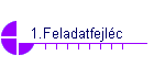 1.Feladatfejlc