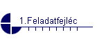 1.Feladatfejlc