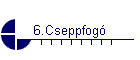 6.Cseppfog