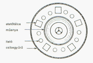 A neveltr helyes elrendezse