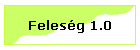 Felesg 1.0