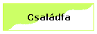 Csaldfa