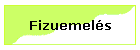 Fizuemels