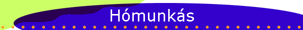 Hómunkás